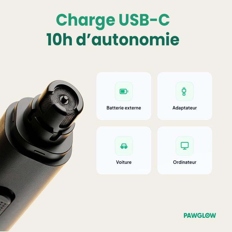 🐾 PawGlow Pro — Lime à Ongles Électrique